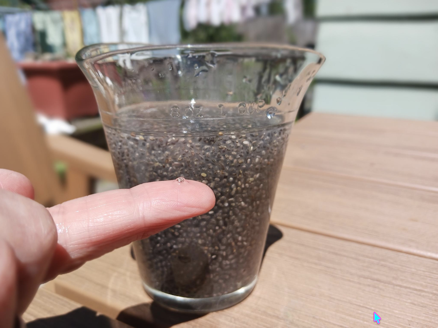 Comment bien consommer les graines de chia et profiter pleinement de leurs bienfaits
