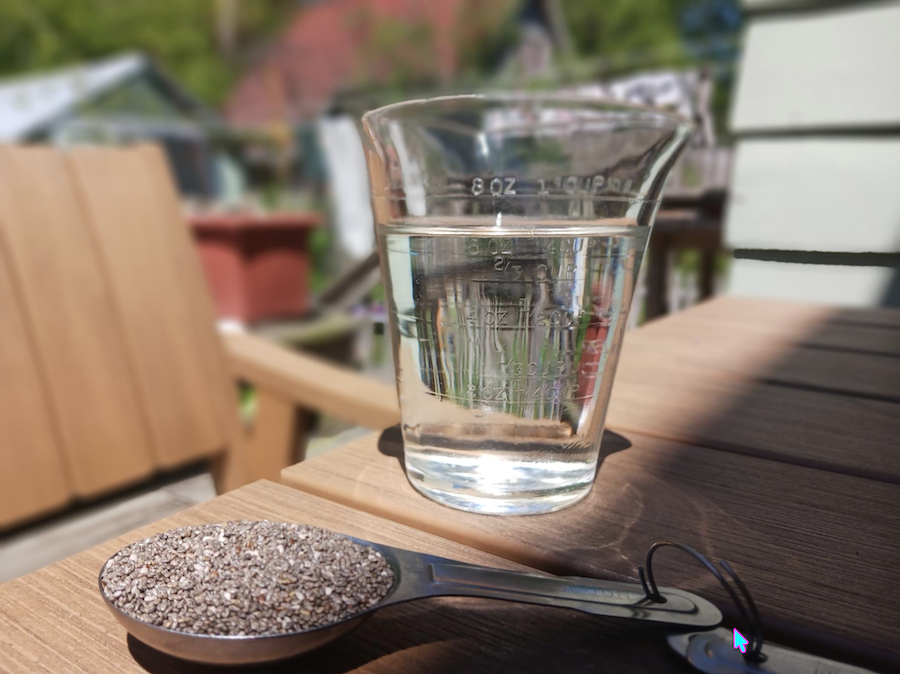 Comment bien consommer les graines de chia et profiter pleinement de leurs bienfaits
