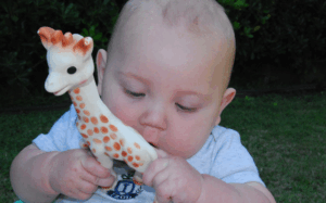 Sophie la girafe, jouet favori des bébés : du Made in France fabriqué en Chine ?