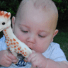 Sophie la girafe, jouet favori des bébés : du Made in France fabriqué en Chine ?