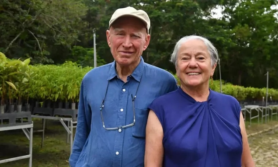Comment un couple a transformé un terrain aride en une forêt tropicale luxuriante