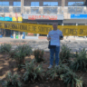 Le 26 juin, journée mondiale pour le soutien aux victimes de la torture