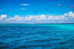 Regard sur l’invention de Boyan Slat, ce jeune et brillant entrepreneur qui veut assainir les océans