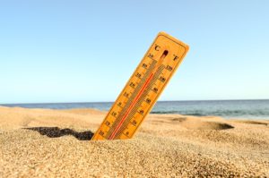 Survivre aux vagues de chaleur : ce que les cultures des régions les plus chaudes du globe peuvent nous apprendre