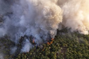 Comment les feux de forêt créent leurs propres conditions météo et de nouveaux types de nuages