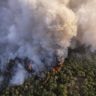 Comment les feux de forêt créent leurs propres conditions météo et de nouveaux types de nuages