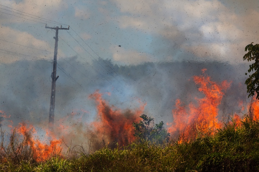 Comment les feux de forêt créent leurs propres conditions météo et de nouveaux types de nuages
