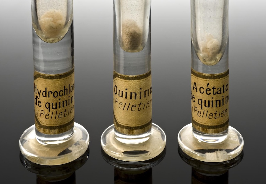 L’alliance scientifique qui a façonné le traitement du paludisme