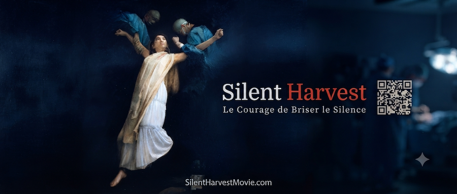 Silent Harvest : le documentaire qui brise vingt ans de silence sur les prélèvements forcés d’organes en Chine