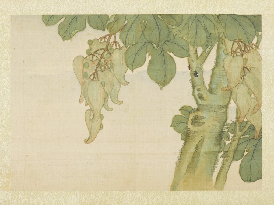 Liqiu, le début de l'automne selon le calendrier chinois traditionnel
