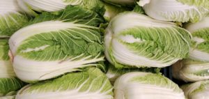 Chine : un scandale de chou chinois trempé dans le formol inquiète les consommateurs chinois, sud-coréens et japonais