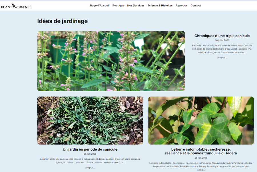 Un jardin qui résiste à la sécheresse avec Plant d’Avenir