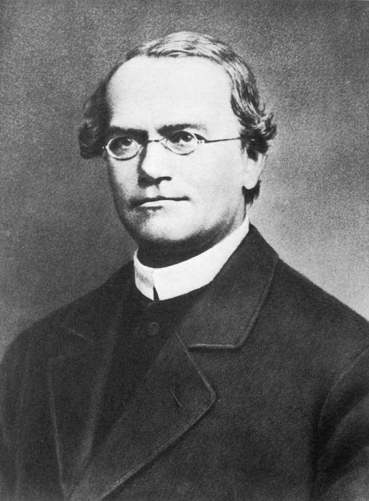 Le débat d’Oxford sur l’évolution : que s’est-il réellement passé en 1860 lors de la confrontation scientifique la plus célèbre