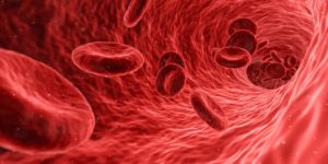 Comprendre les rôles physiologiques multiples du sang humain