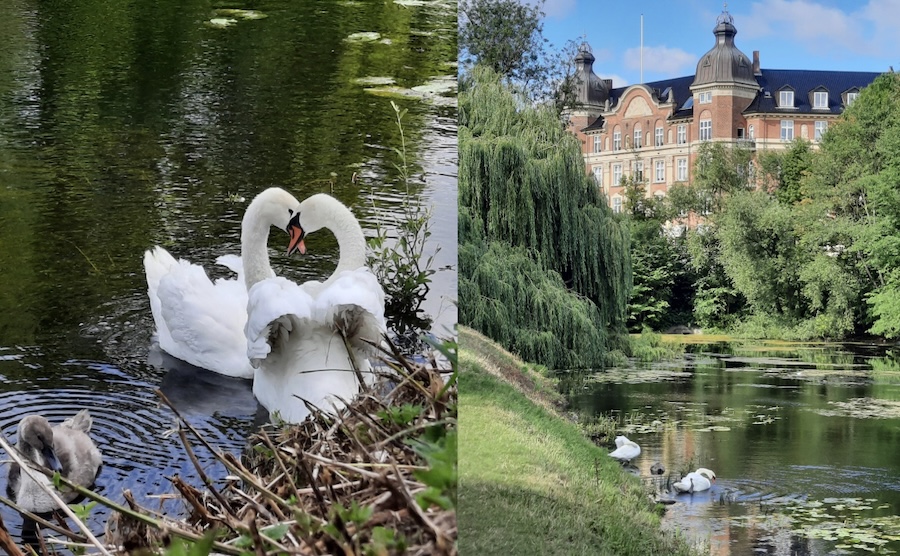 Copenhague, une ville scandinave chaleureuse

