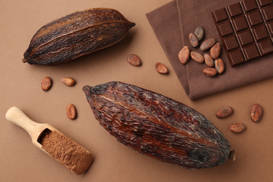 De nouvelles recherches révèlent un potentiel inexploité pour le cacao amazonien : serait-il un futur superaliment