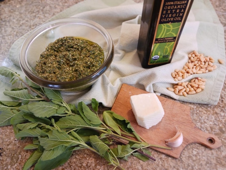 Les vertus des remèdes traditionnels connaître et cultiver les plantes médicinales : le tulsi