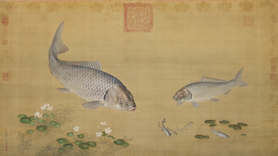 Quand l’eau est trop claire, il n’y a pas de poissons : une leçon de sagesse de la Chine ancienne
