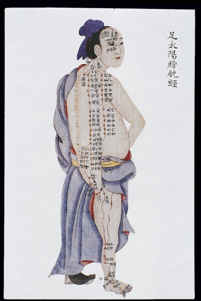 Les ventouses dans le dos : l’art ancestral chinois de rétablir l’équilibre

