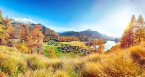 L’automne en vers : des poètes d’Orient et d’Occident ont su puiser leur inspiration dans le changement de saison