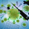Un cancer sur huit dans le monde serait dû à une infection, selon une nouvelle étude
