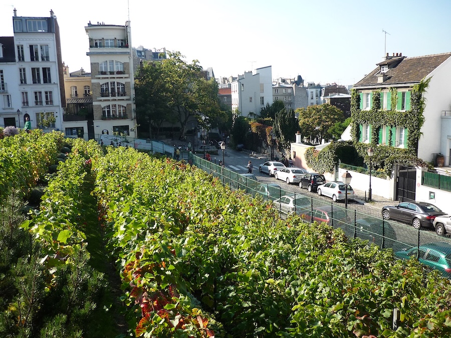 La Fête des Vendanges de Montmartre : l’authenticité d’une tradition préservée