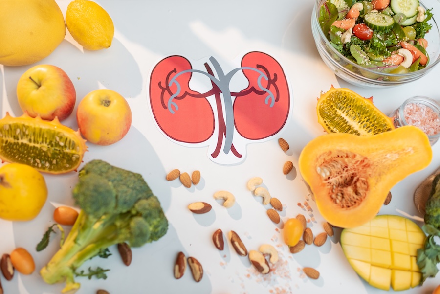 Dix aliments qui peuvent contribuer à maintenir les reins en bonne santé