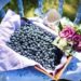 L'anthocyanine est le pigment végétal qui donne aux fruits et légumes bleus/violets leur couleur distinctive. Il a également une grande valeur nutritionnelle pour le corps humain. (Image: Jill Welington / Pixabay)